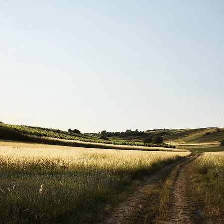 Weingut & Gaestezimmer Zillinger Bed & Breakfast Ebenthal  Exterior photo